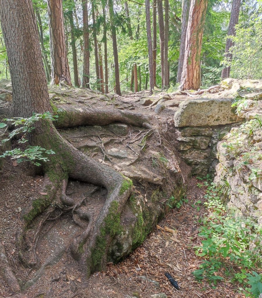 Sokolčí: A Gothic Castle Ruin in Czechia 4 Sokolčí