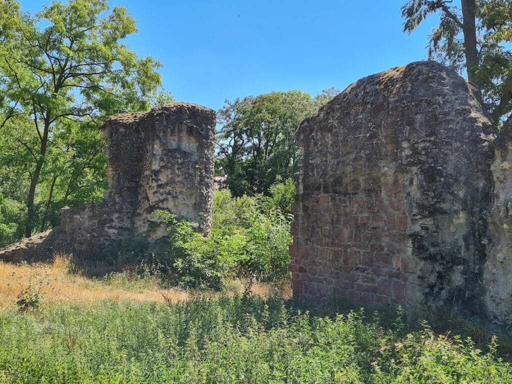 Burg Dorfelden: A Medieval Water Castle Ruin in Germany 1 Burg Dorfelden