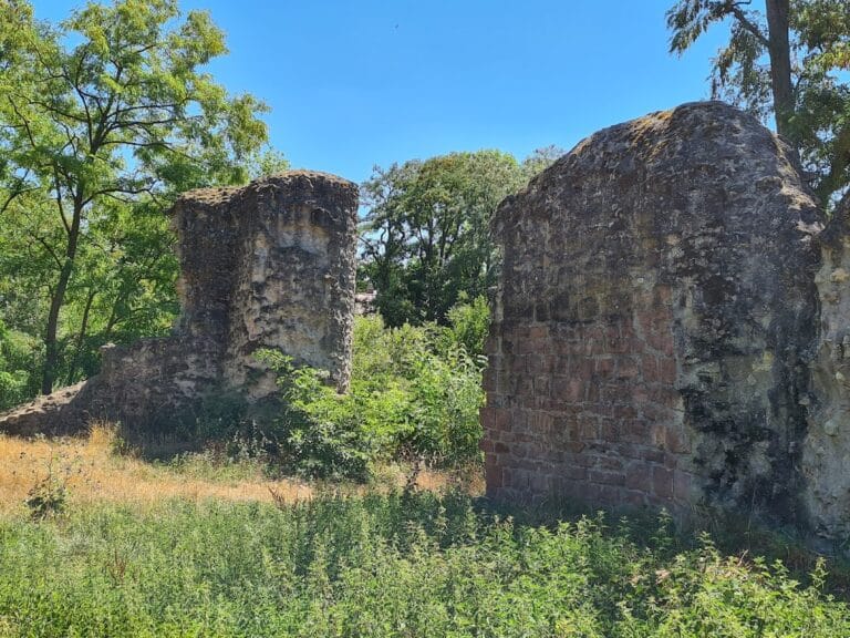 Burg Dorfelden: A Medieval Water Castle Ruin in Germany