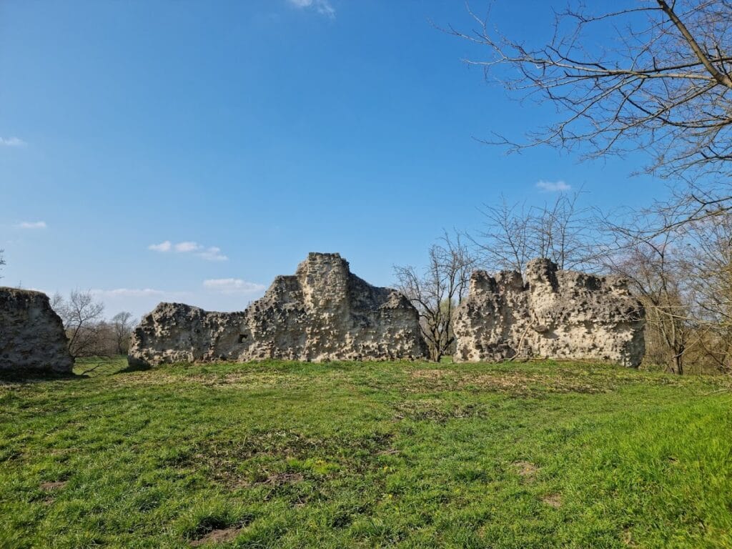 Burg Dorfelden: A Medieval Water Castle Ruin in Germany 2 Burg Dorfelden