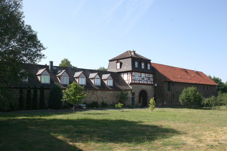 Burg Dorfelden: A Medieval Water Castle Ruin in Germany
