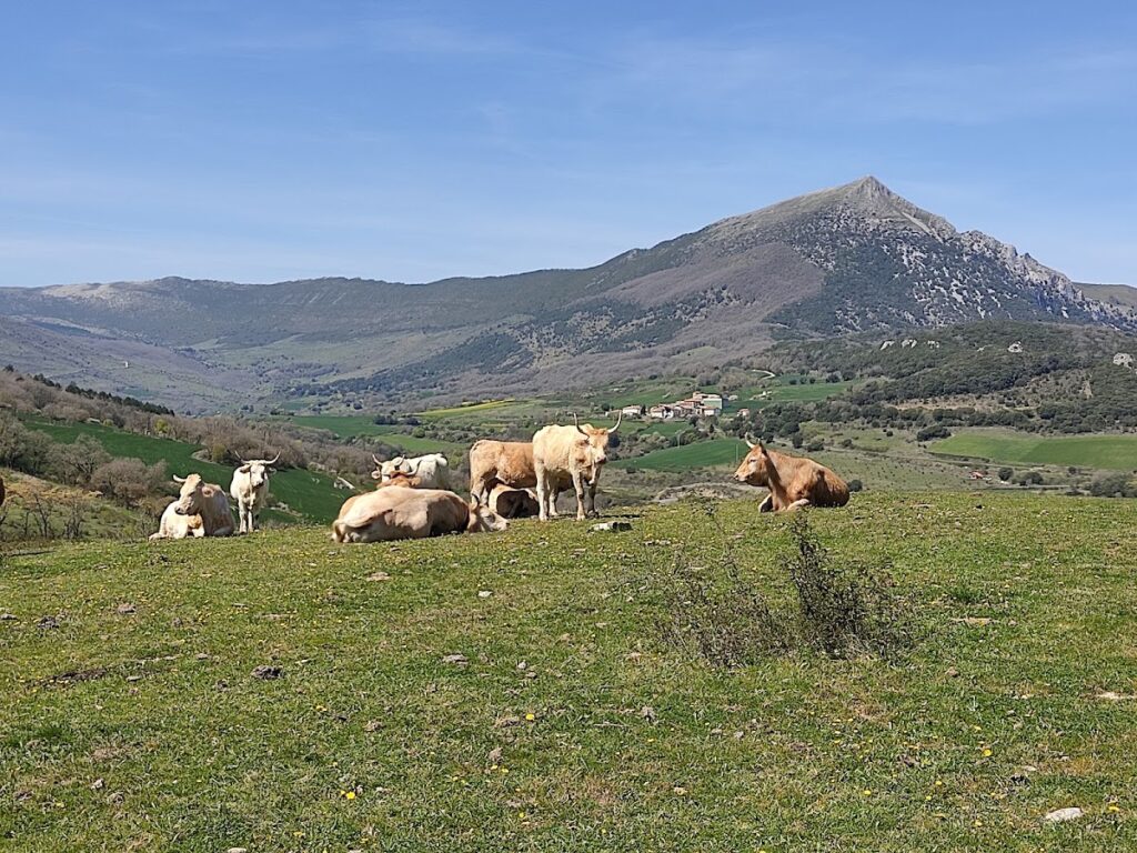 Castle of Garaño: A Medieval Fortress in Navarra, Spain 8 Castle of Garaño