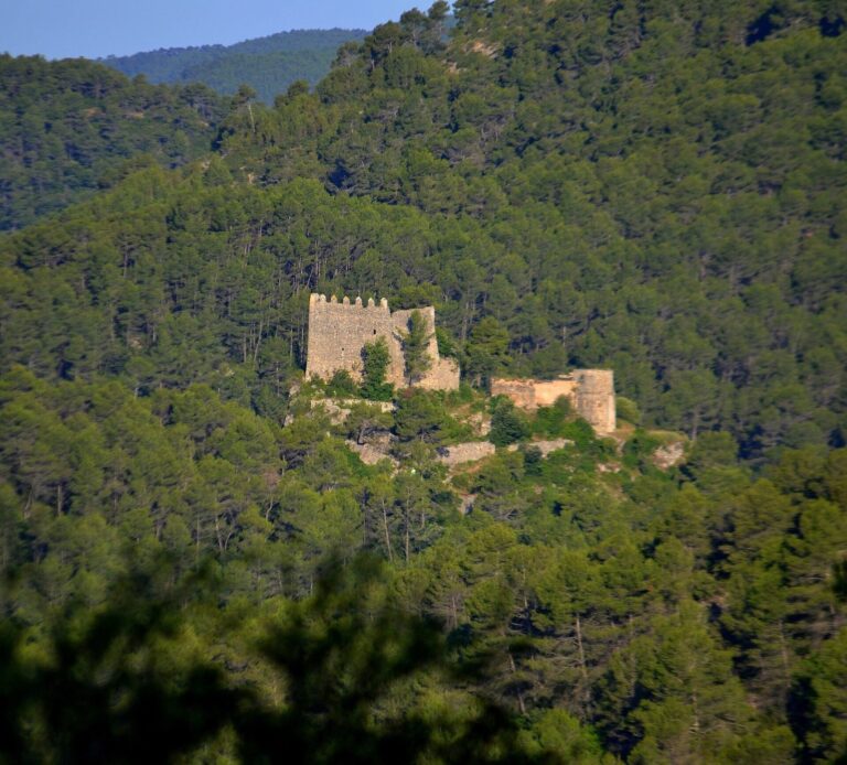 Castell de Marmellar: A Medieval Fortress and Church Complex in Spain