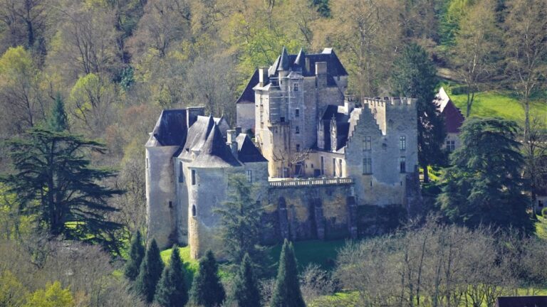 Château de Fayrac: A Historic French Castle with Medieval and Renaissance Heritage