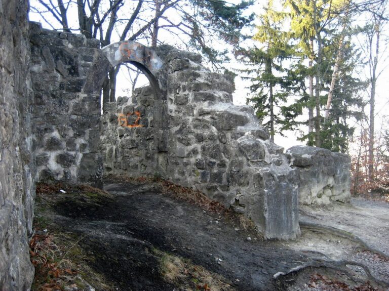 Burg Friesenberg: A Medieval Hilltop Castle Ruin in Switzerland