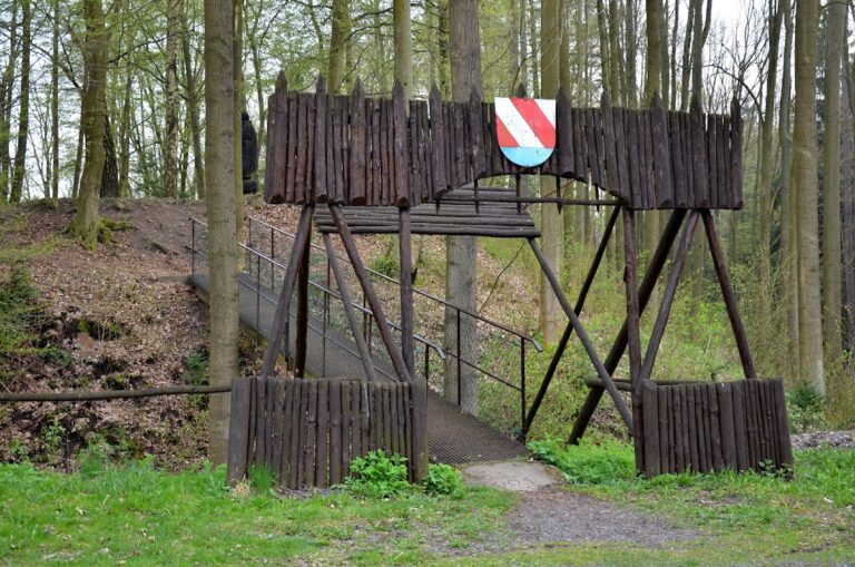 Castle Skuhrov: A Medieval Ruin in the Czech Republic