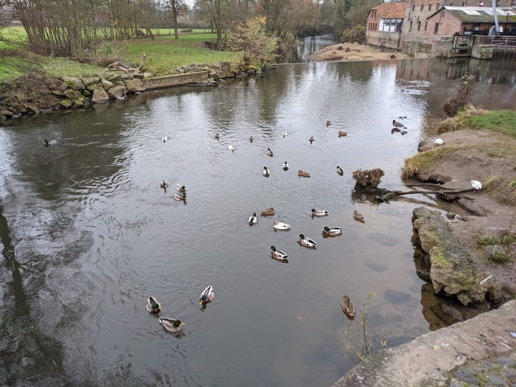 Wasserburg Rückingen