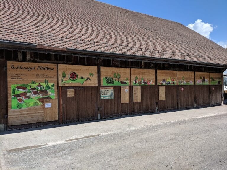 Freienbach Castle: The Abbey Governor’s Office and Fortified Tower in Switzerland
