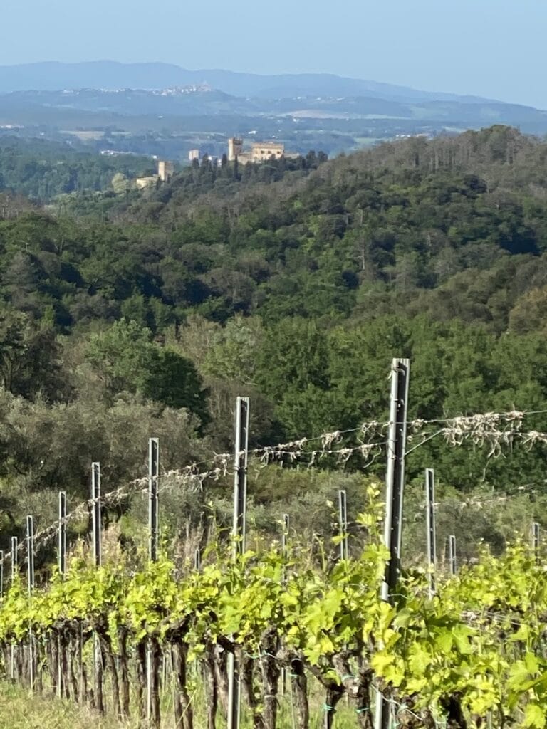 Castello di Strozzavolpe