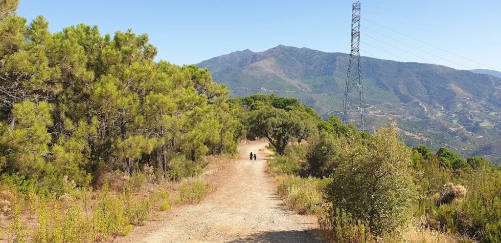 Castillo de Montemayor: A Historic Fortress in Benahavís, Spain 10 Castillo de Montemayor