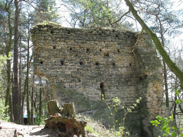 Milčany: A Medieval Noble Castle Ruin in Czechia