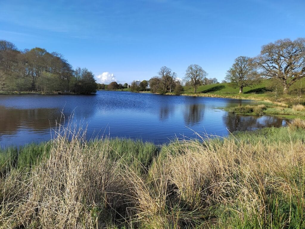 Douglas Castle: A Historic Scottish Stronghold and Noble Residence 7 Douglas Castle