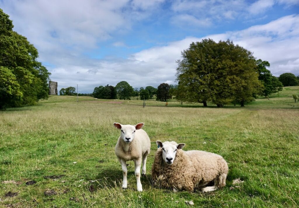 Douglas Castle: A Historic Scottish Stronghold and Noble Residence 10 Douglas Castle