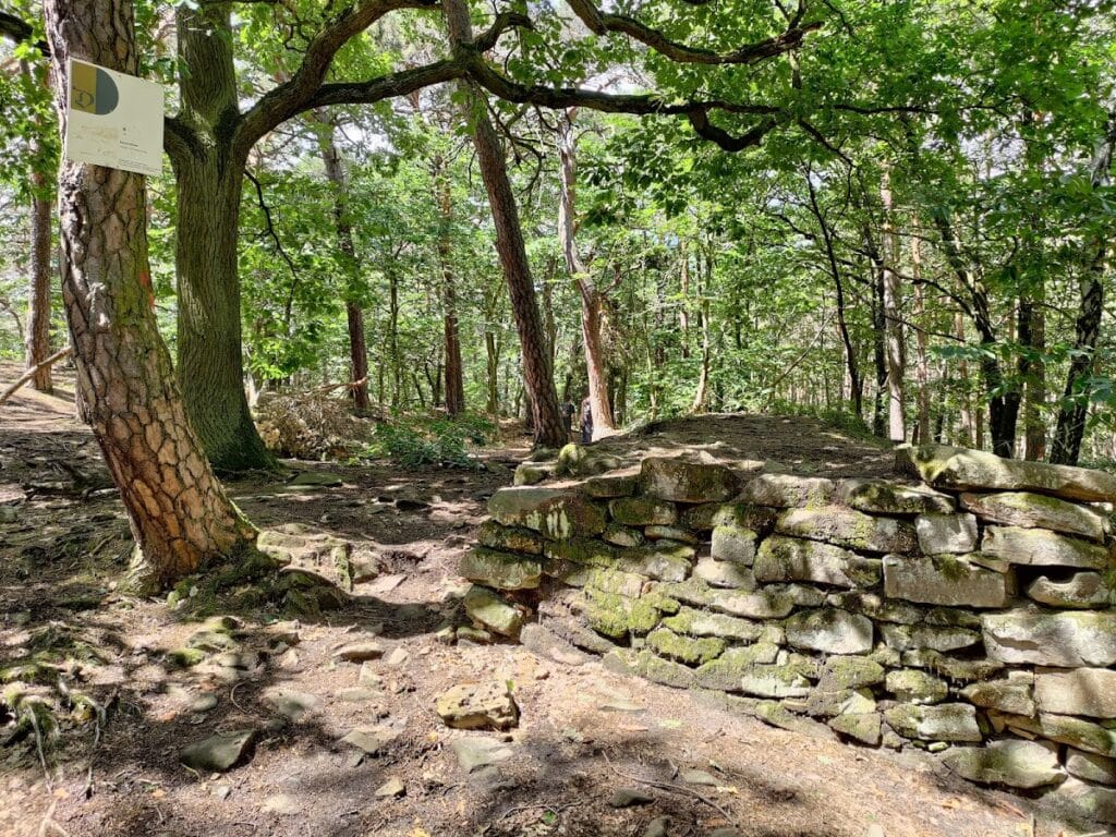Heidenlöcher: A Carolingian Hilltop Refuge Castle near Deidesheim, Germany 6 Heidenlöcher