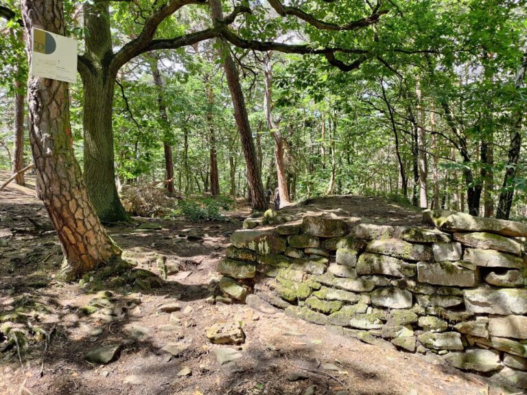 Heidenlöcher: A Carolingian Hilltop Refuge Castle near Deidesheim, Germany
