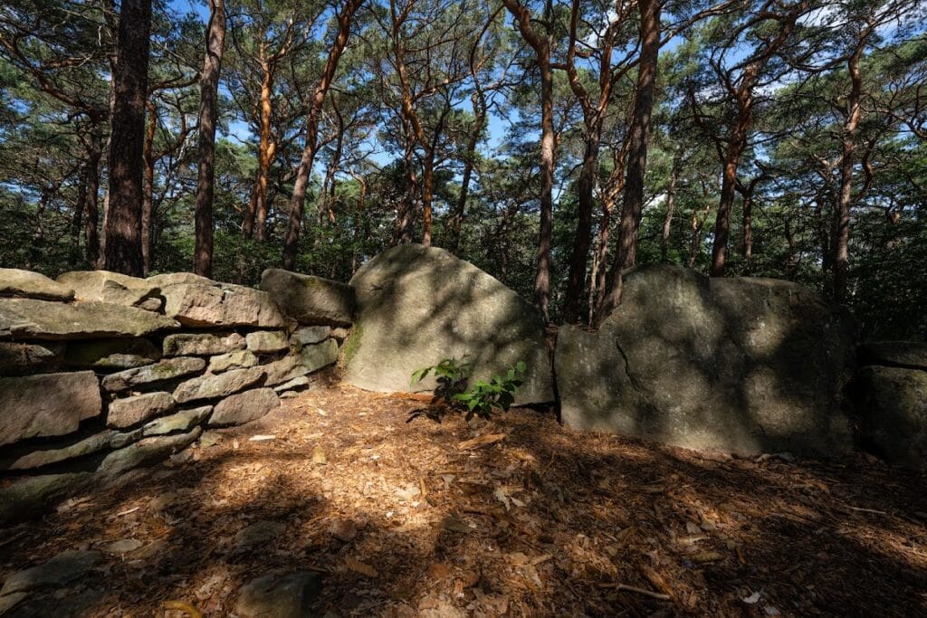 Heidenlöcher: A Carolingian Hilltop Refuge Castle near Deidesheim, Germany 7 Heidenlöcher