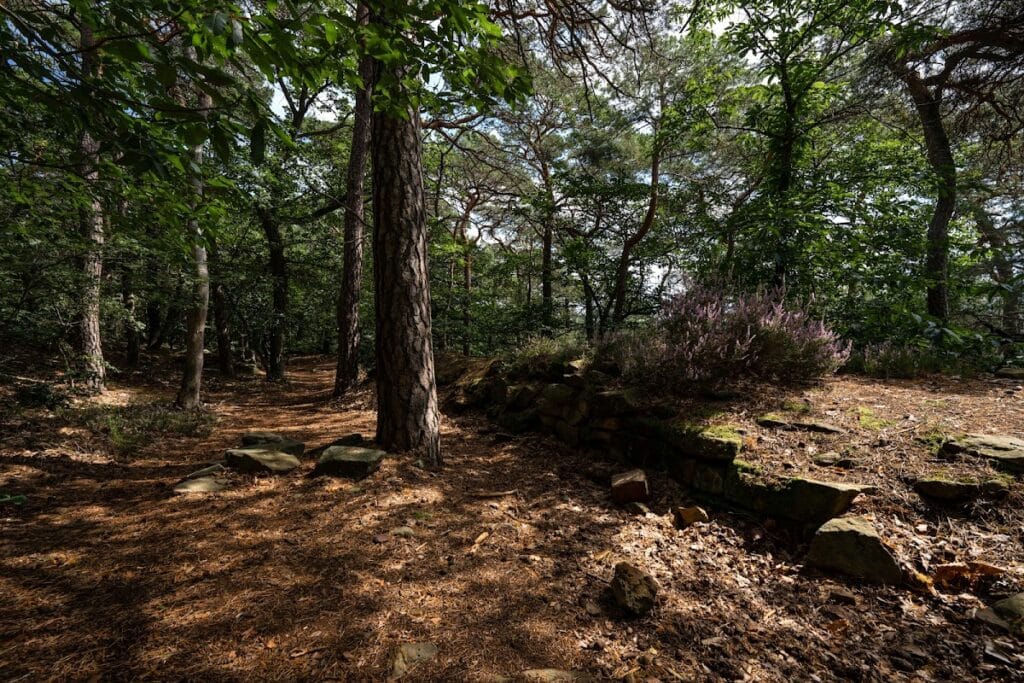 Heidenlöcher: A Carolingian Hilltop Refuge Castle near Deidesheim, Germany 8 Heidenlöcher
