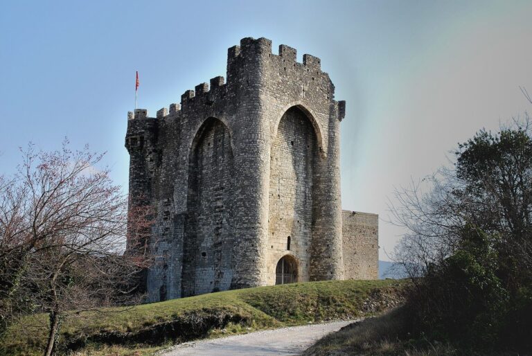 Château de Cruas: A Fortified Benedictine Abbey Complex in France