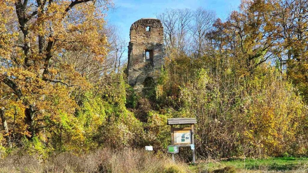 Speckfeld Castle Ruins: A Medieval Hilltop Castle in Germany 1 Burgruine Speckfeld