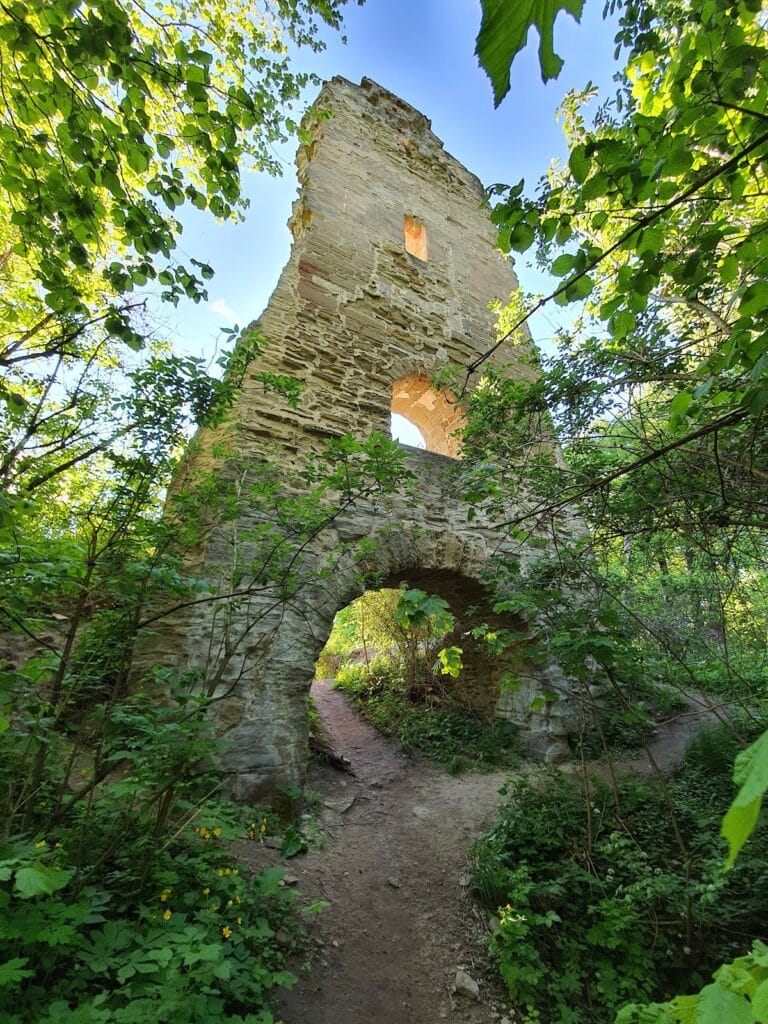 Speckfeld Castle Ruins: A Medieval Hilltop Castle in Germany 2 Burgruine Speckfeld