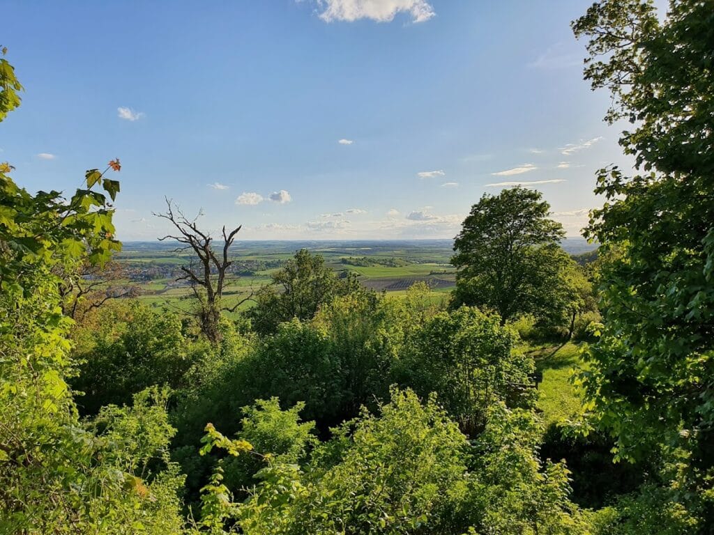 Speckfeld Castle Ruins: A Medieval Hilltop Castle in Germany 5 Burgruine Speckfeld
