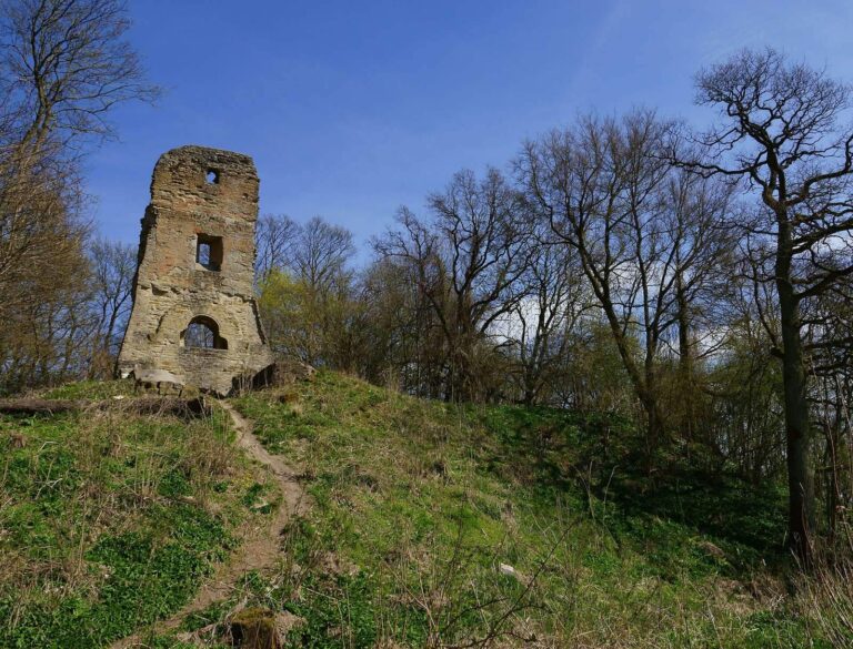 Speckfeld Castle Ruins: A Medieval Hilltop Castle in Germany
