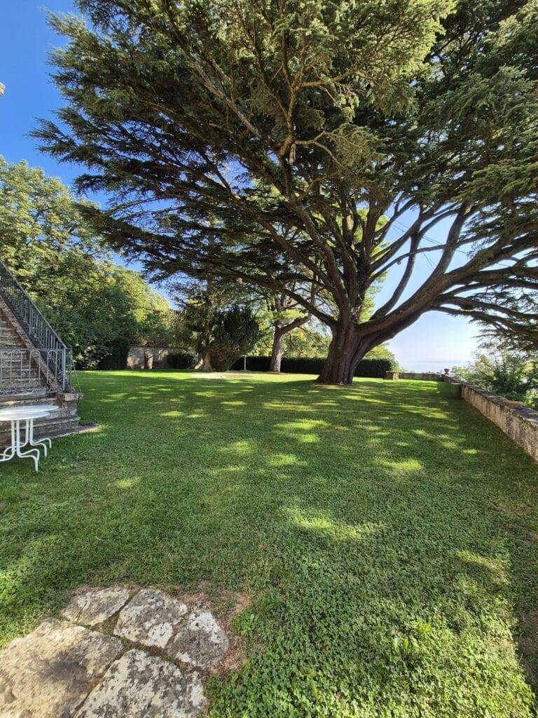 Château de Vaumarcus: A Medieval Fortress in Switzerland 9 Château de Vaumarcus