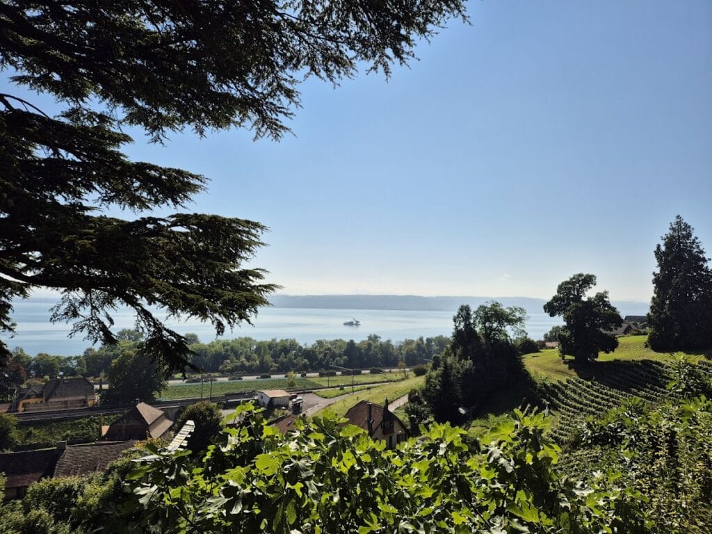 Château de Vaumarcus: A Medieval Fortress in Switzerland 10 Château de Vaumarcus