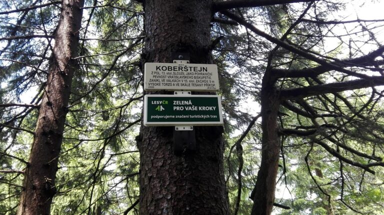 Korybut Castle: A Historic Fortified Stronghold in Czechia