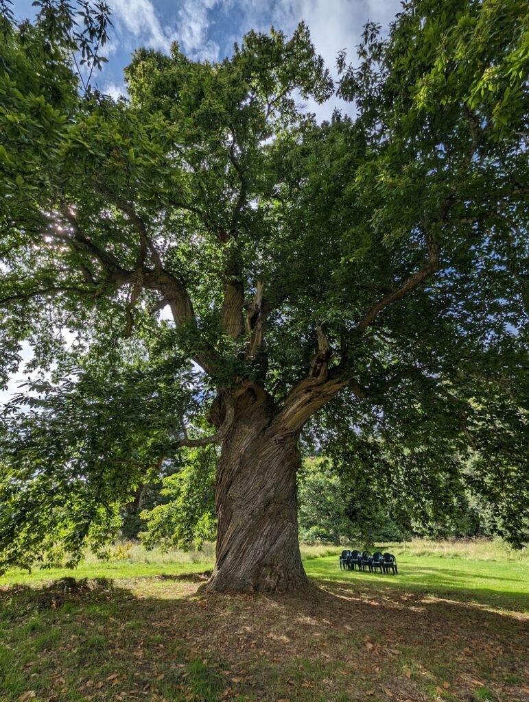 Castle Leod: The Historic Seat of Clan Mackenzie in Scotland 10 Castle Leod