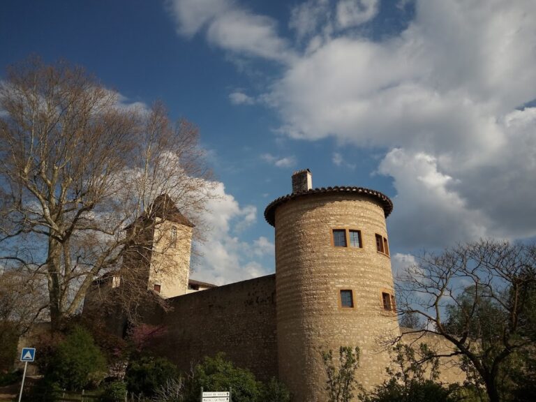 Château de Saint-Bernard: A Medieval Fortress in Saint-Bernard, France