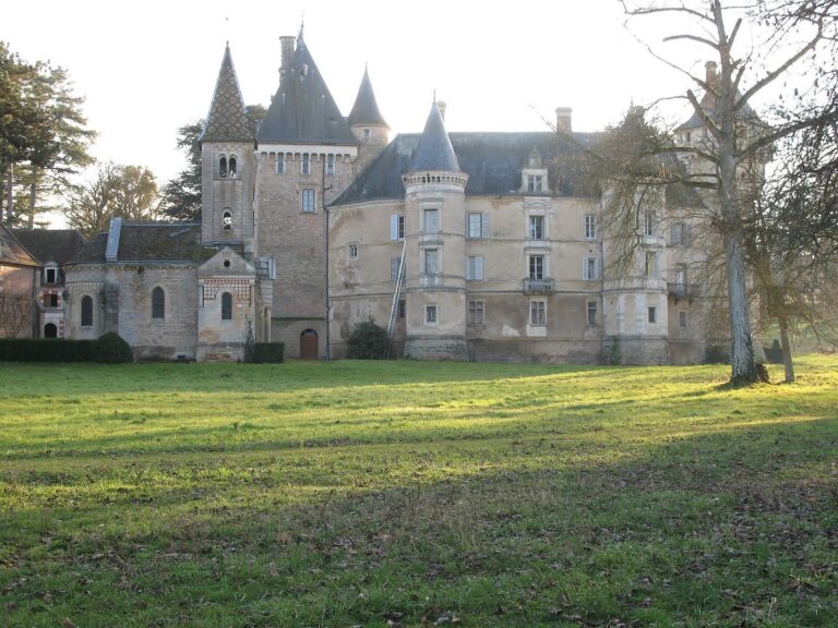 Château de Bresse-sur-Grosne: A Medieval Castle in France