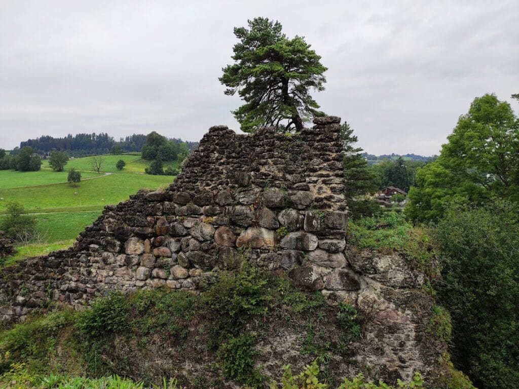 Alt-Wädenswil Castle: A Medieval Fortress and Commandery in Richterswil, Switzerland 6 Alt Wädenswil Castle