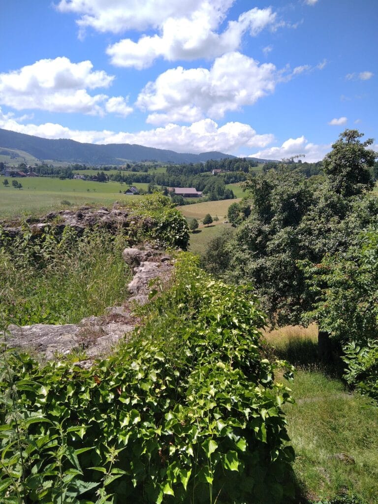 Alt-Wädenswil Castle: A Medieval Fortress and Commandery in Richterswil, Switzerland 8 Alt Wädenswil Castle