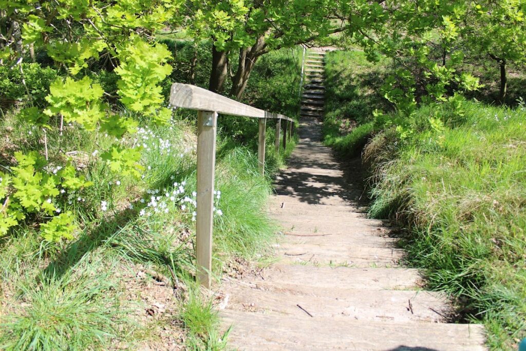 Pipinsburg (Sievern)