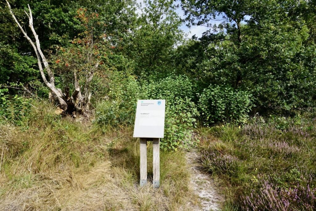 Pipinsburg (Sievern)