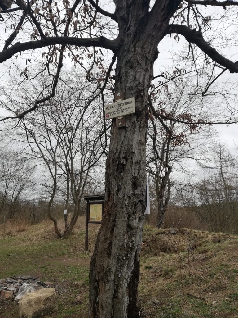 Věžka Castle: A Historic Medieval Fortress in the Czech Republic 10 Věžka