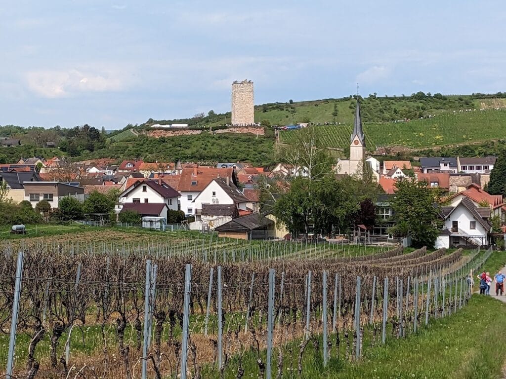 Burg Schwabsburg
