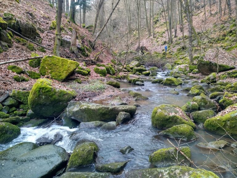 Šember Castle: A Historic Fortification Near Doubravčice in the Czech Republic