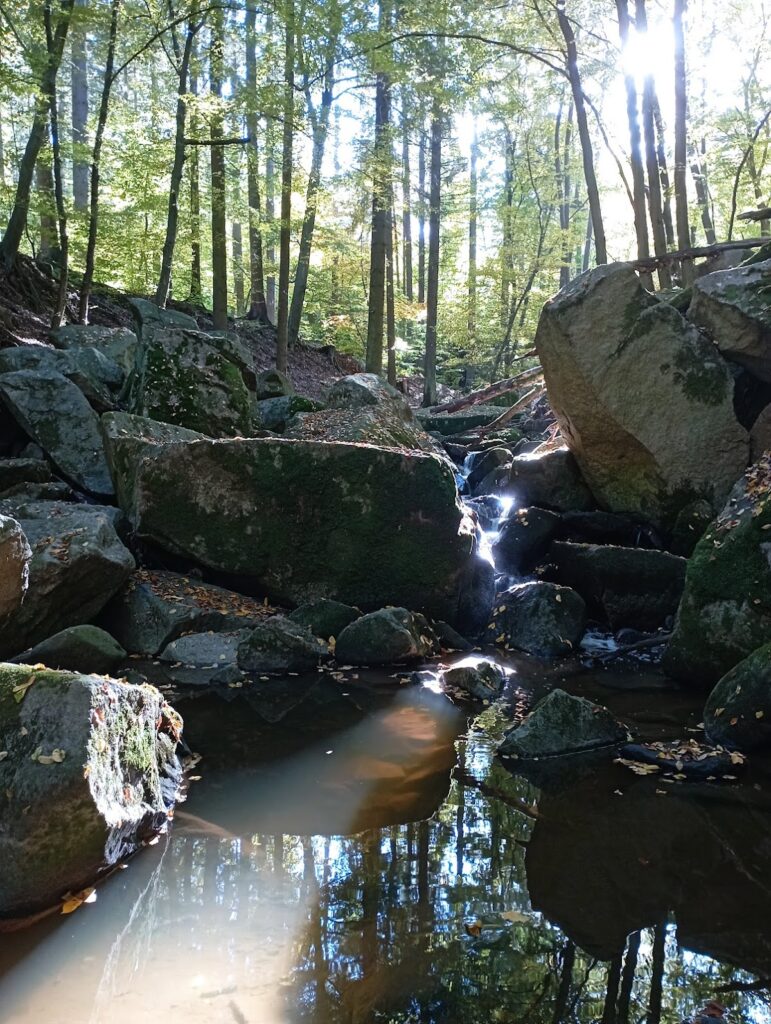 Šember Castle: A Historic Fortification Near Doubravčice in the Czech Republic 9 Šember