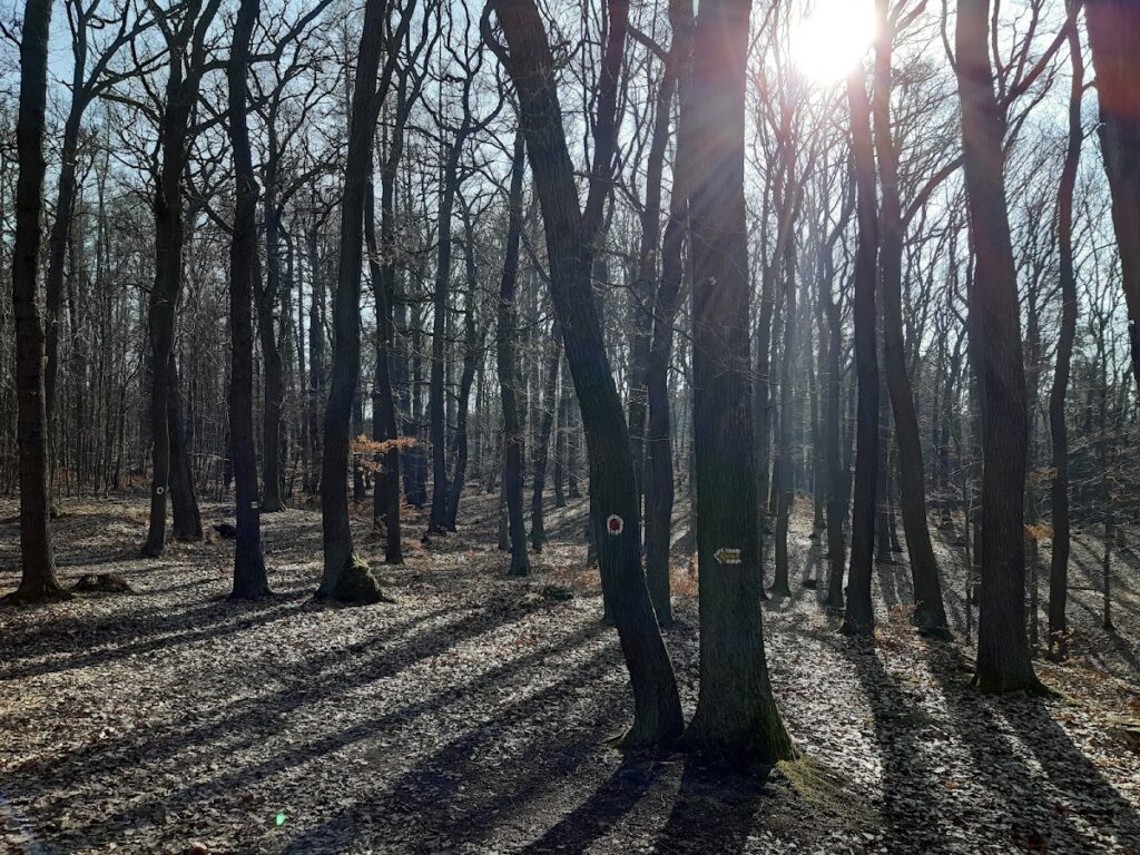 Šember Castle: A Historic Fortification Near Doubravčice in the Czech Republic 10 Šember
