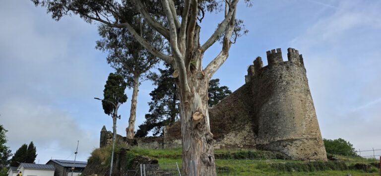 Fortaleza de Sarria: A Medieval Fortress in Sarria, Spain