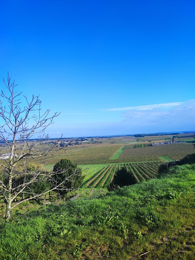 Château de Bouteville