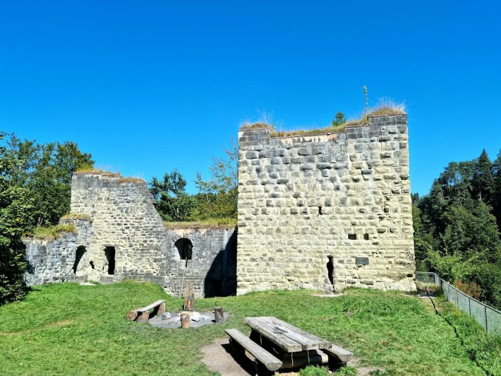 Grasburg Castle: A Medieval Imperial Rock Castle in Switzerland 1 Grasburg Castle