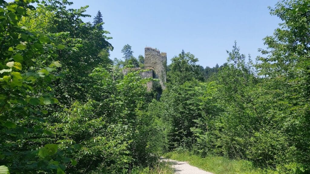 Grasburg Castle: A Medieval Imperial Rock Castle in Switzerland 3 Grasburg Castle