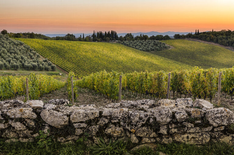 Castello di Ama: A Historic Estate in Gaiole in Chianti, Italy