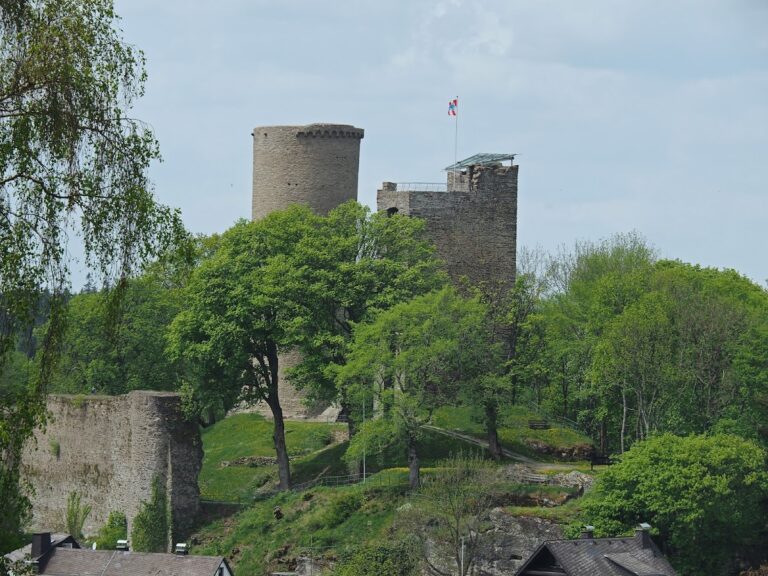 Burg Reifenberg: A Medieval Castle in Schmitten, Germany