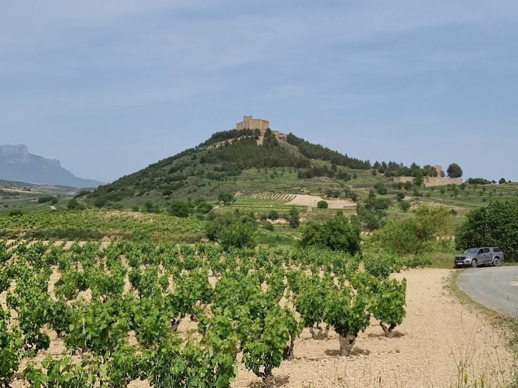 Castillo de Davalillo