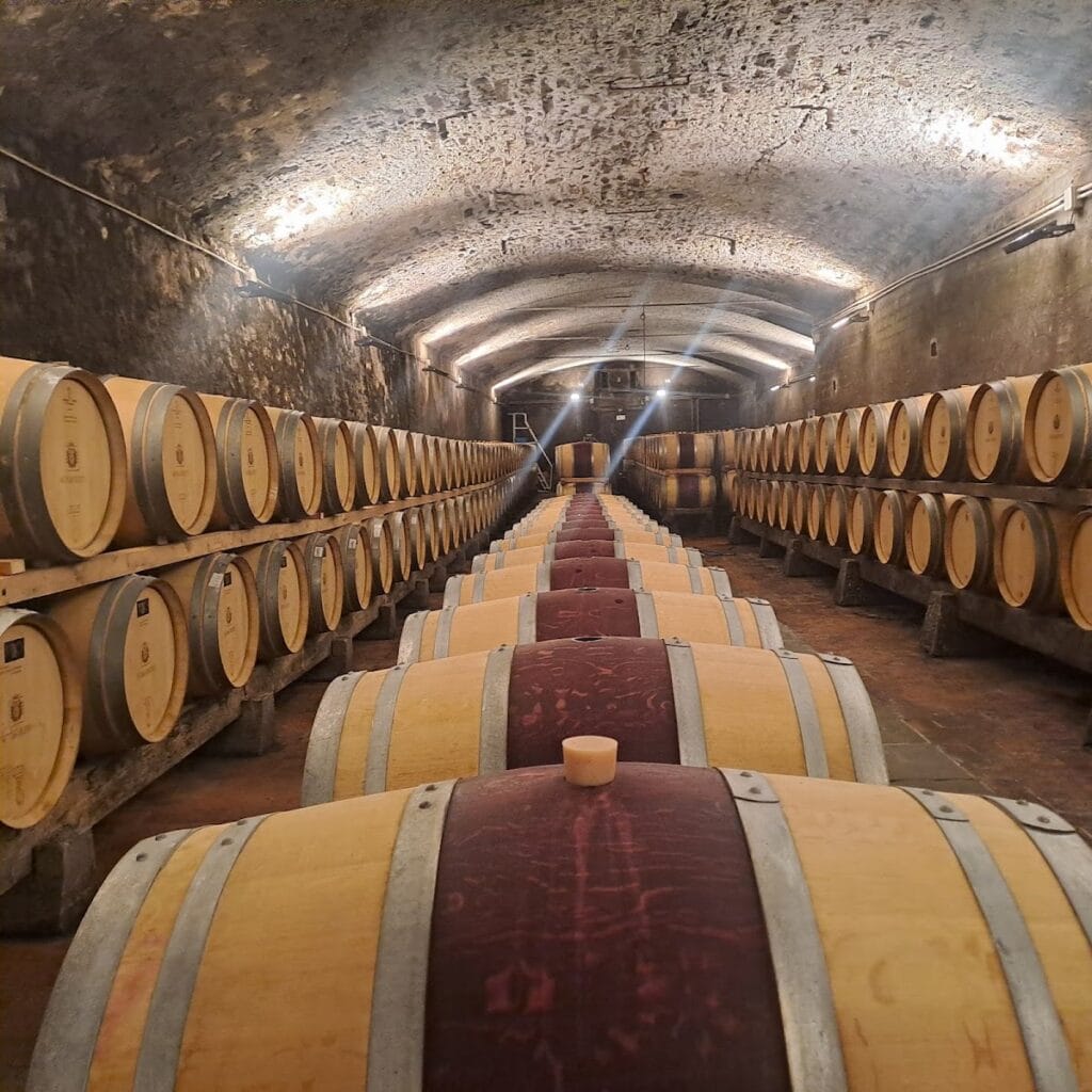 Castello Nipozzano: A Medieval Fortress and Residence in Italy 7 Castello Nipozzano