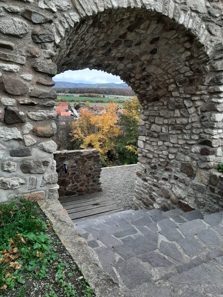 Stapelburg Castle: A Medieval Road-Protection Castle in Germany 2 Stapelburg Castle